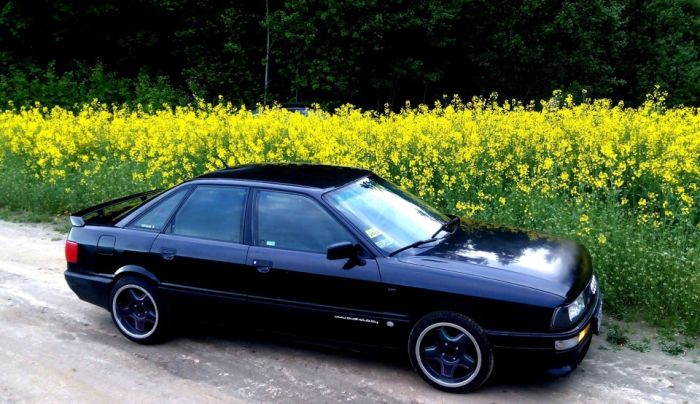 Базова автоемаль (металік) "Mipa Volkswagen/Audi (VW) Y9Z Panthero" 1л [Міпа Фольксваген/Ауді І9З Пантеро]
